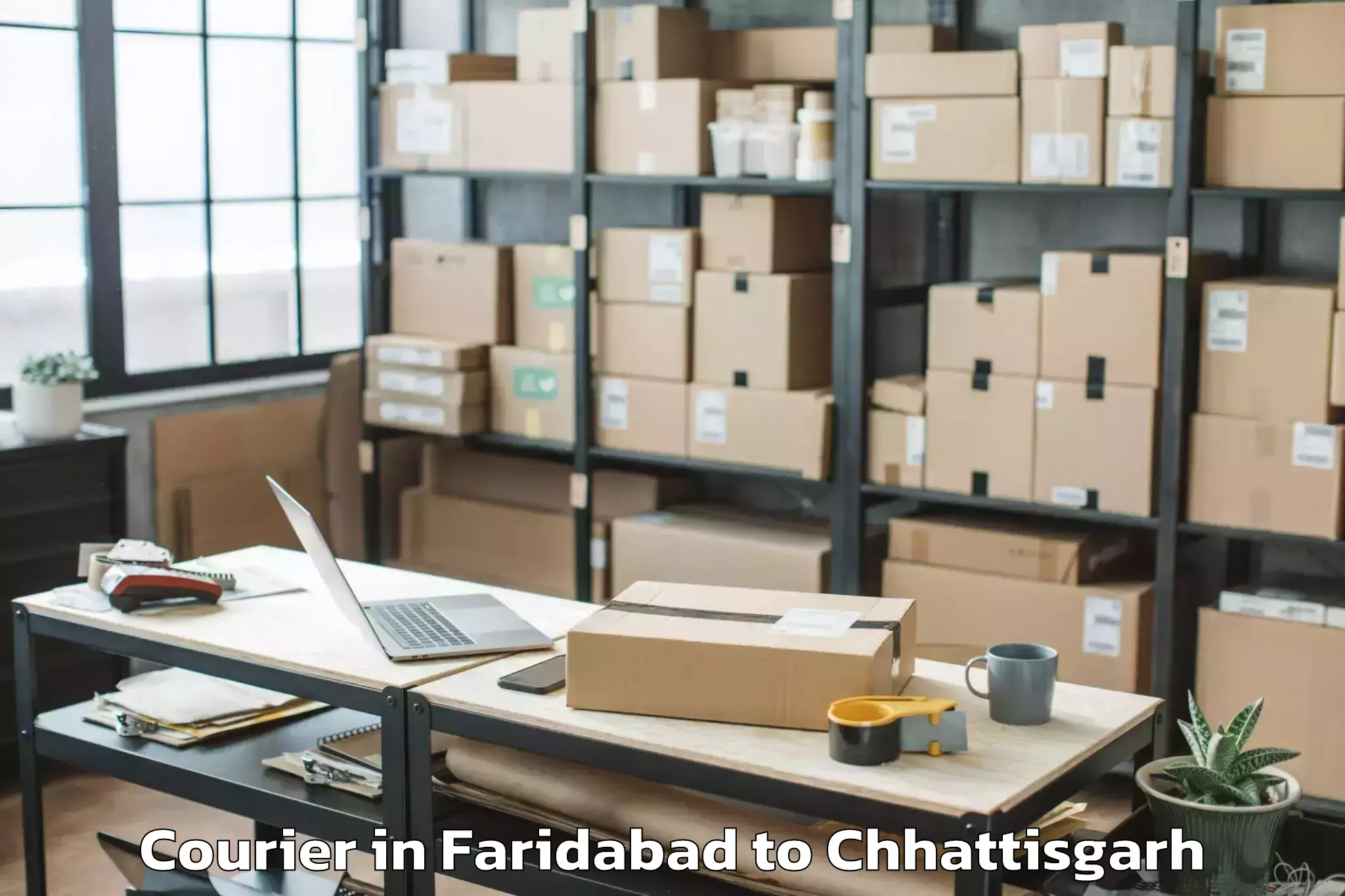 Professional Faridabad to Janjgir Courier